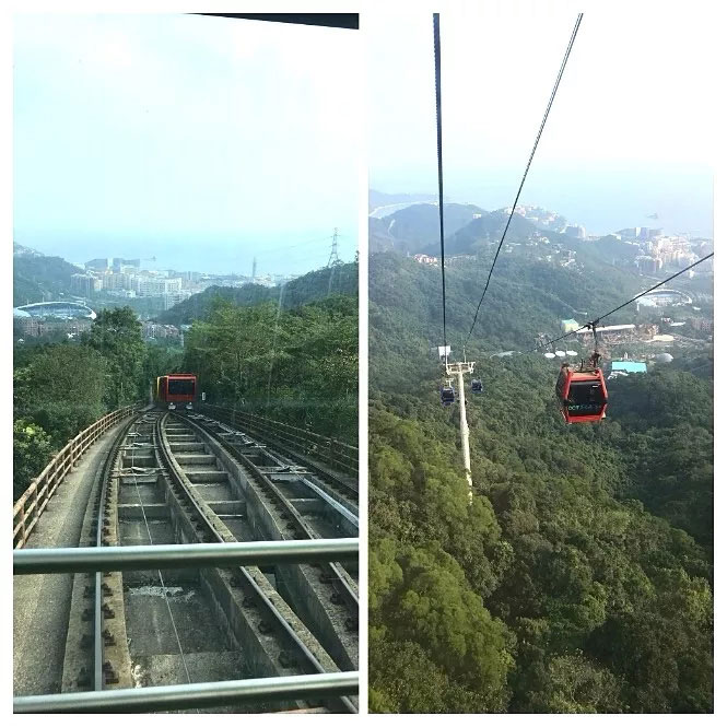 易網(wǎng)科技開(kāi)展深圳東部華僑城2日?qǐng)F(tuán)體游-大俠谷云頂觀光