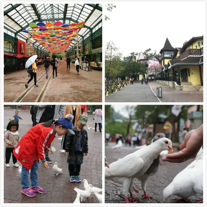 易網(wǎng)科技開(kāi)展深圳東部華僑城2日?qǐng)F(tuán)體游-茶溪谷悠閑公園