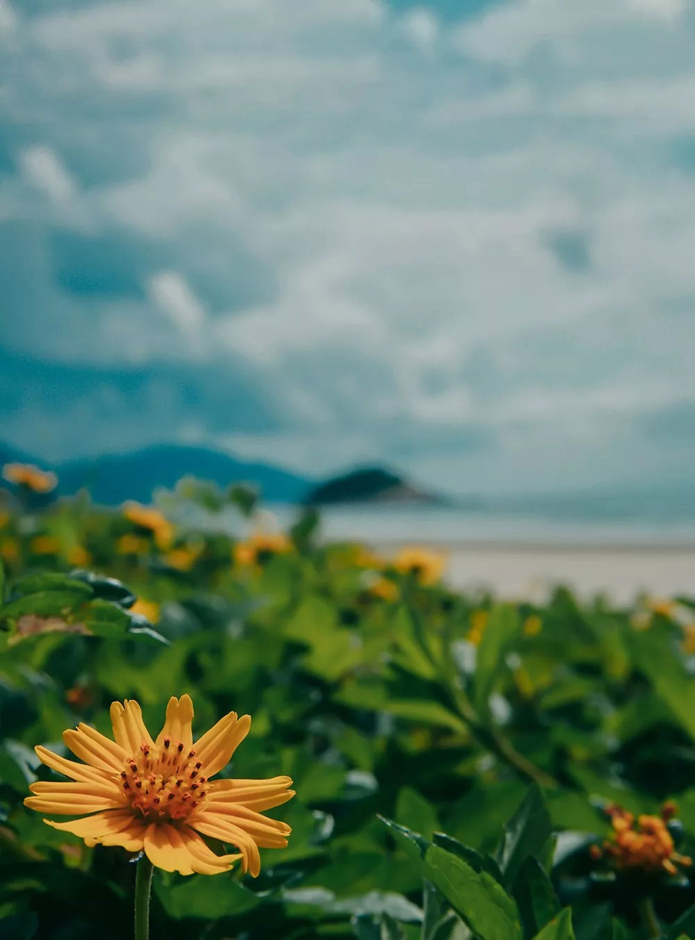 1566959492753529.jpg 33333.webp.jpg