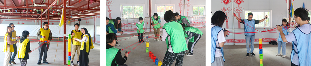 1639556197642593.jpg 合力搭建